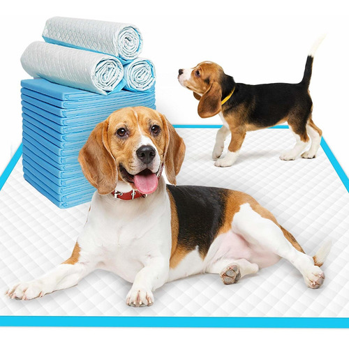 Imagen 2 de 10 de Pañal Para Perros De Piso Entrenamiento Absorbente 50 Unid