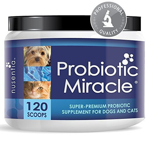 Probióticos Para Gatos Perros 120 Cucharadas Probiótico Mila