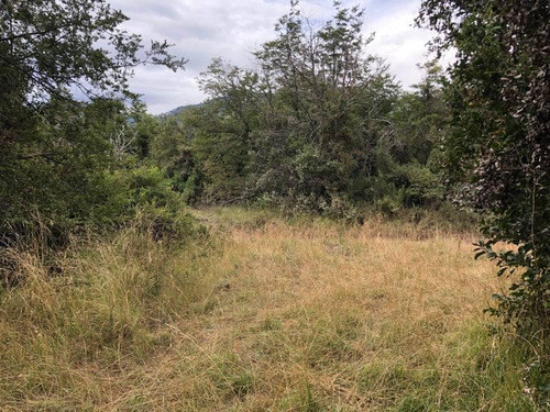 Imagen 5 de 7 de Oportunidad! Fabienne Edelberg Fe Propiedades Vende Fraccion Iv Excepcional Lote 3950 M2 Meliquina. Oportunidad!!