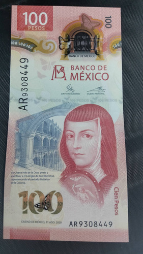 Billete De 100 Pesos Coleccionable De La Familia Ar 