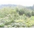 Imagem 2 de 3 de Terreno À Venda, 1000 M² Por R$ 399.000,00 - Jardim Sol Nascente (ouro Fino Paulista) - Ribeirão Pires/sp - Te0077