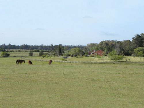 Campo En Venta En Maldonado Ref. 1667