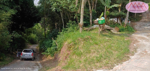 Chácara Para Venda Em Ribeirão Pires, Pilar Velho - 000333333_2-1163332