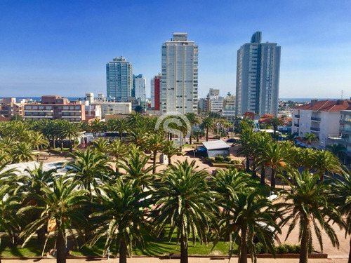 Apartamento En Venta - Ref: 3904