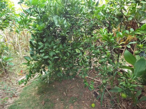 Lote Para Comprar No Santa Matilde Em Santa Luzia/mg - 2820