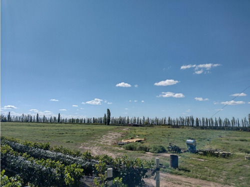 Vendo Finca De 20 Hectareas A Tranquera Cerrada San Rafael