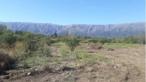 Lote De 2000m2 En Cerro De Oro, Villa De Merlo Acceso Por Granadilla