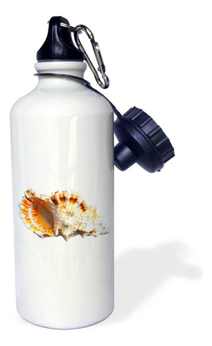 Una Concha Oceanica Llamada Muricidae - Botella Agua