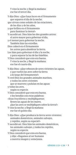 Imagen 4 de 5 de Nvi Biblia Del Lector, Vino En Tela