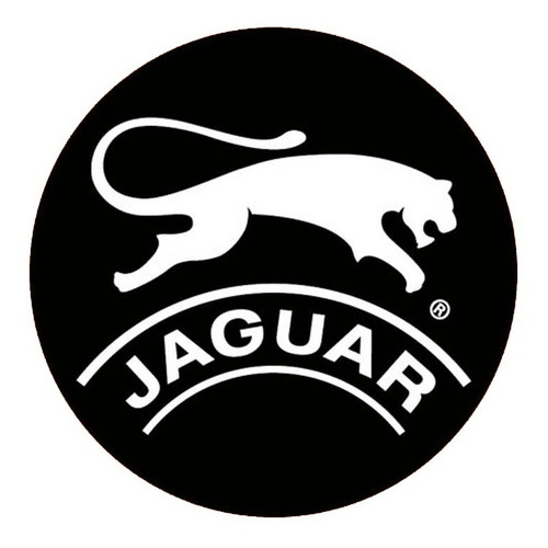 Imagen 7 de 10 de Zapatillas Jaguar Abrojos Niños Colegial Urbano 520 21 Al 26