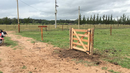 Imagen 8 de 9 de Hermosos Lotes En Domselaar,muy Buena Zona