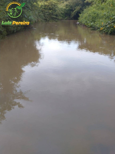 Imagem 6 de 15 de Fazenda À Venda Em Pindorama Do Tocantins - To-de 207 Alqueirões (pecuária) - 1693