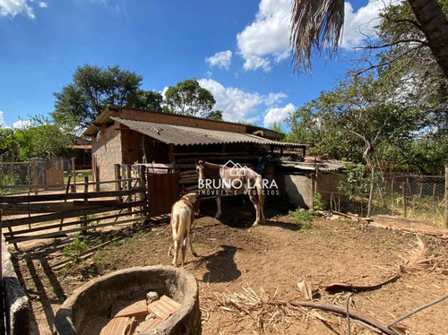 Imagem 14 de 30 de Sítio À Venda Em Igarapé Bairro Jardim Vila Rica - Si0095