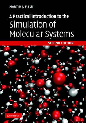 Libro A Practical Introduction To The Simulation Of Molec...