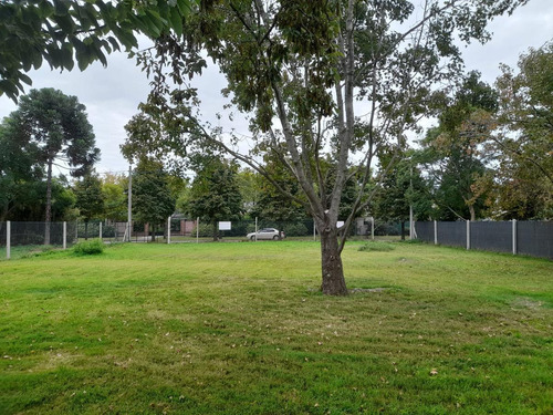 Imagen 2 de 6 de Terreno - Barrio Belgrano