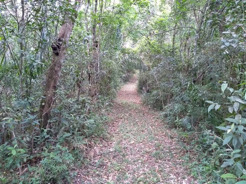 Imagem 25 de 30 de Sítio Alto Padrão Com Linda Vista Panorâmica - 64 - 33682306
