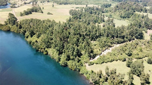 Imagen 3 de 16 de Agrícola En Venta En Lago Ranco