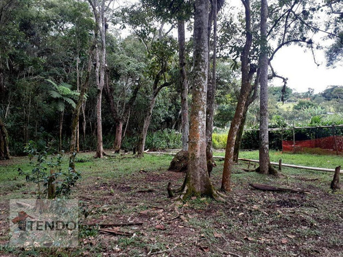 Imagem 26 de 28 de Chácara 250 M² - Venda - 2 Dormitórios - Chácara Sete Cruzes - Suzano/sp - Ch0060