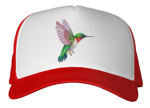 Gorra Colibri Pintura Color Ave Verde