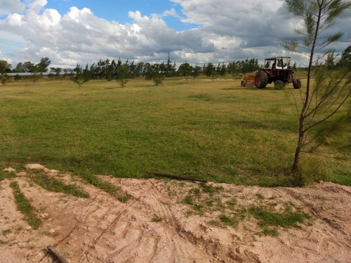 Lotes/terrenos Cañuelas 950m2 Y 1250m2