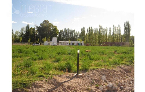 Imagen 9 de 9 de Terreno - General Roca