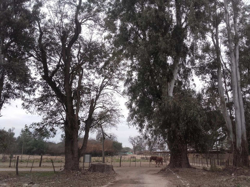 Imagen 6 de 10 de Terreno Venta La Arbolada San Lorenzo Chico 1000 M