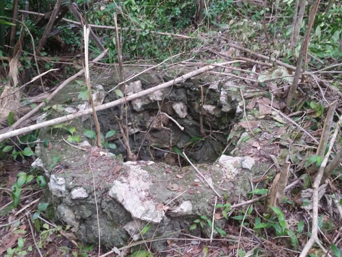 Imagen 7 de 12 de Terreno En Venta Cuna Maya Smza. 205