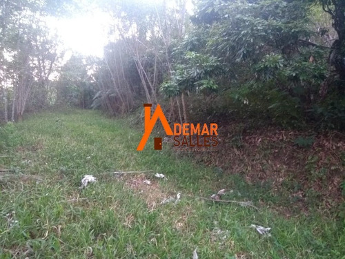 Imagem 6 de 23 de Chacara - Ch00064 - 68105344