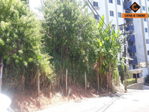 Imagem 10 de 11 de Terreno Para Empreendimentos - Te00431 - 69440812