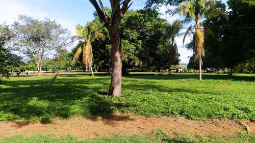 Imagen 10 de 12 de Finca Agropecuaria En Guanare, Portuguesa En Venta