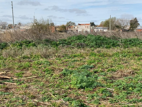 Imagen 5 de 7 de Terreno En Venta De 300m2 Ubicado En La Plata