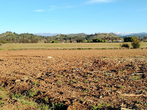 Terreno Agrícola De 33,5 Ha - Campo En Venta, San Clemente