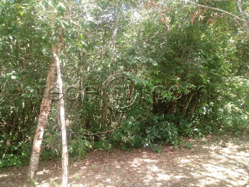 Imagem 19 de 22 de Chácara Com 27.000m2, Casa Rústica, 2 Córregos, 5 Km Da Cidade, Cercada - Pirenópolis - Go - Ch00002 - 68069363