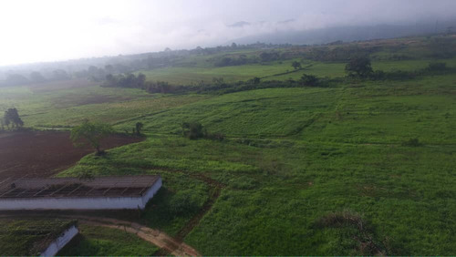 Finca 58 Hectareass, 90% Plana , Agua, Electricidad , Documentos En Bejuma Carabobo 2
