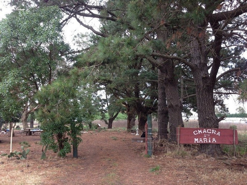 Imagen 1 de 11 de Campo De 1,7 Hectareas Para Emprendimiento O Explotacion