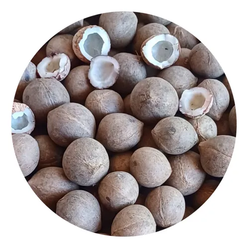 comprar Coco De Palma Chilena Excelente Calidad 500grs.