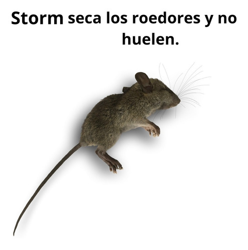 Veneno Mata Ratas Ratones Cebo En Cubos Storm® 1 Kg Original