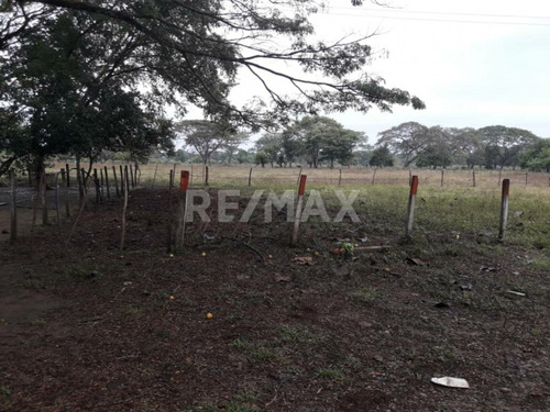 Imagen 7 de 7 de Excelente Oportunidad De Inversión En Finca Código 441157