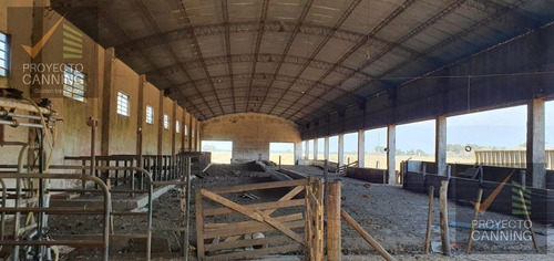 Imagen 10 de 26 de Retasado!!! Campo Fraccion En Venta Con Excelente Ubicación - San Vicente
