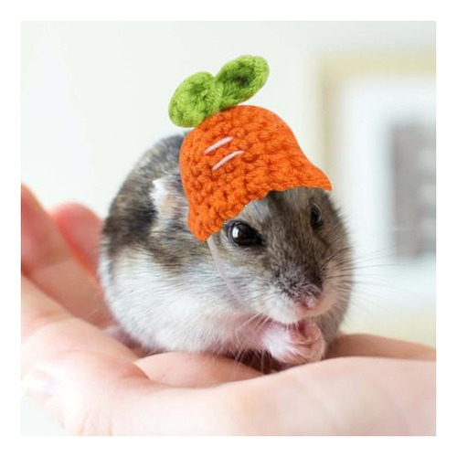 Paquete De 4 Pequeños Animales Lindo Sombrero Mini Sombrero