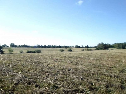 Terrenos O Lotes Venta Colonia