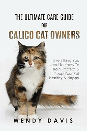 La Guia De Cuidados Definitiva Para Los Duenos De Gatos Cali
