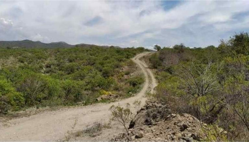 Imagen 16 de 29 de Venta Campo Falda Del Cañete-8,5 Has- Con Vista