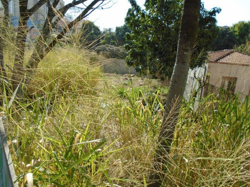 Imagem 9 de 12 de Terreno - 471022 - 69953291