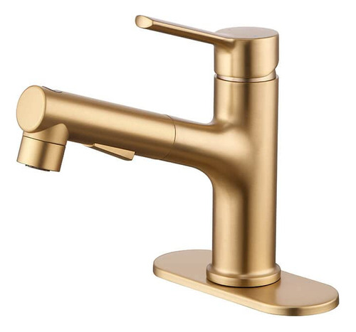 Grifo De Lavabo De Baño De Oro Cepillado Con Rociador Extraí