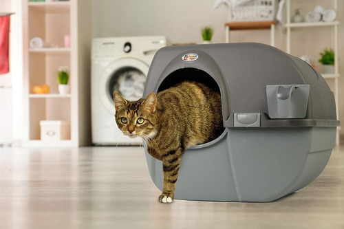 Arenero Para Gatos Omega Paw Color Gris Autolimpiable