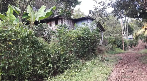 Imagen 5 de 7 de Casa De 26mts 22mts Ubicada Antes De Llegar A La Dalia