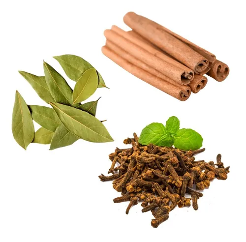 Kit Mudas Cravo Da ndia Canela Louro Promo o