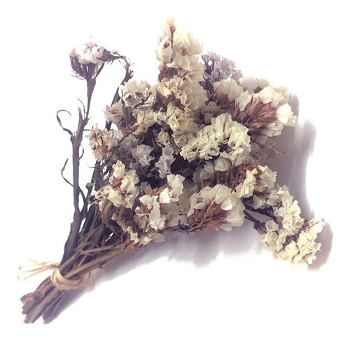 Flores Desidratadas - Mini Buquê De Estatisticas Brancas