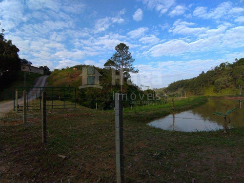 Sítio À Venda Em Gaspar/sc - 1539
